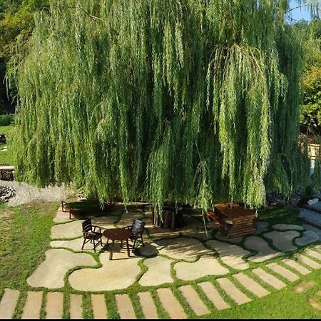 Ferienwohnung La Salcia Din Padure Alba Iulia Exterior foto