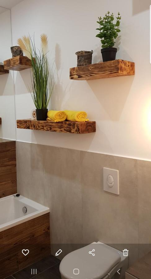 Ferienwohnung La Salcia Din Padure Alba Iulia Exterior foto